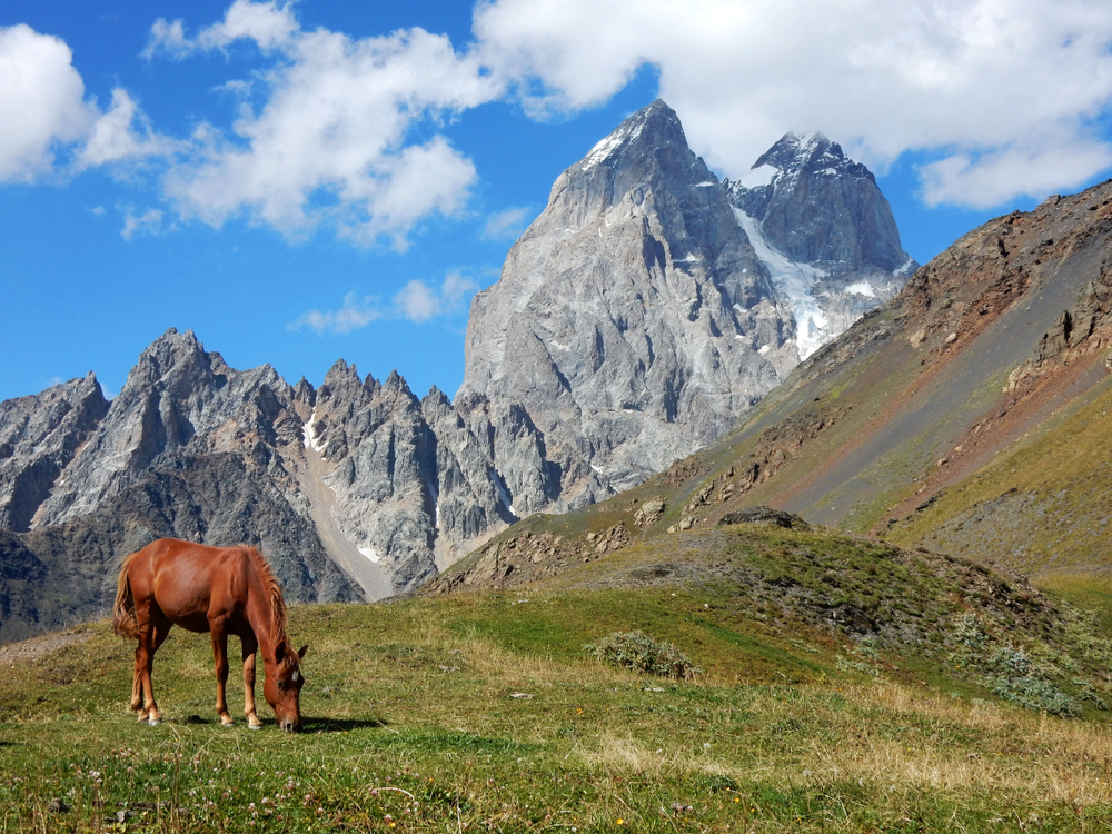 Guli Pass